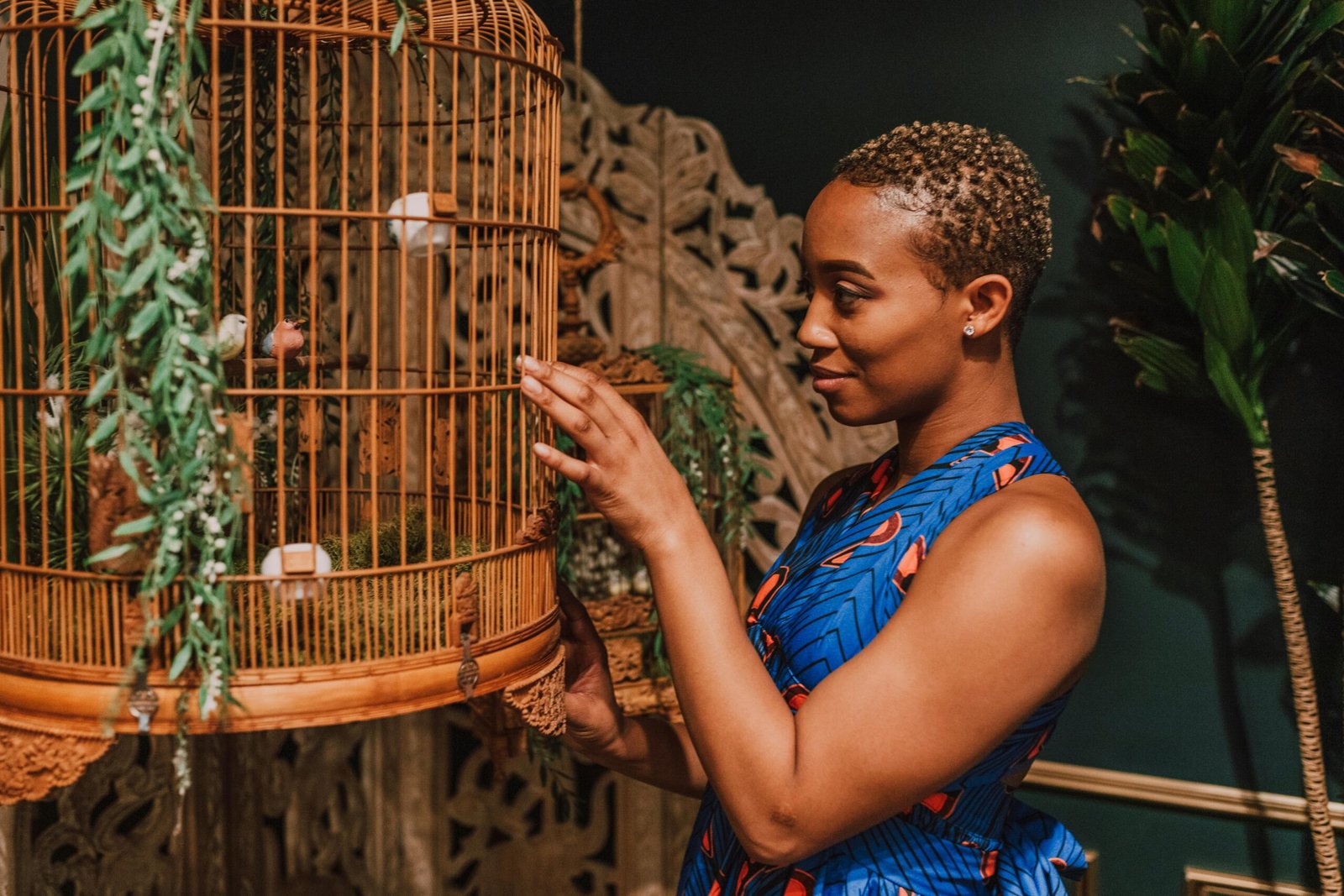 Top 5 Best Pet Cages For Birds 2025