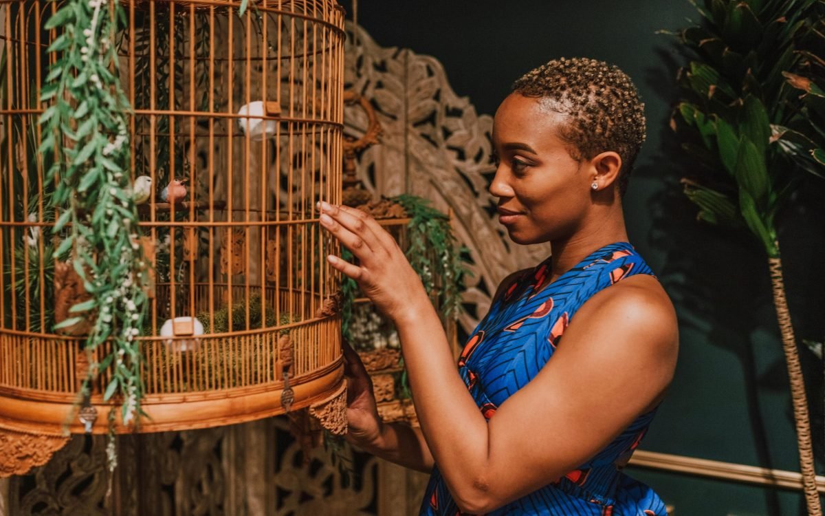 Top 5 Best Pet Cages For Birds 2025
